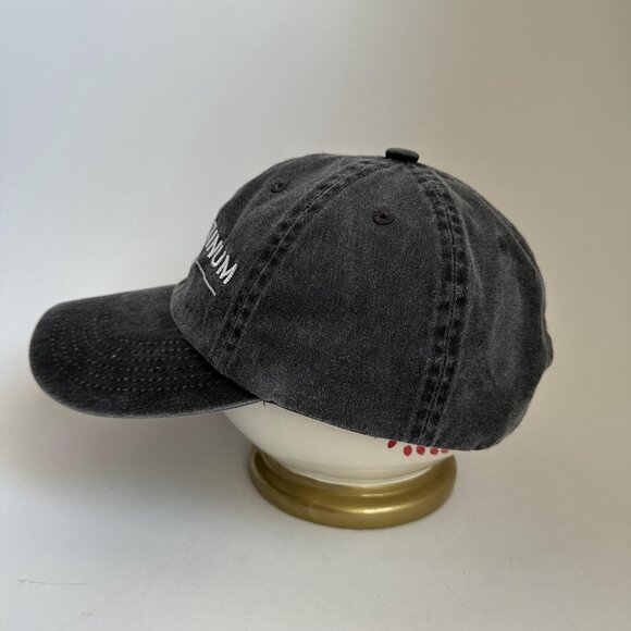 Platinum Models Port Authority Dad Hat Adjustable Strap Back Cap Gray Embroidery - Picture 4 of 9